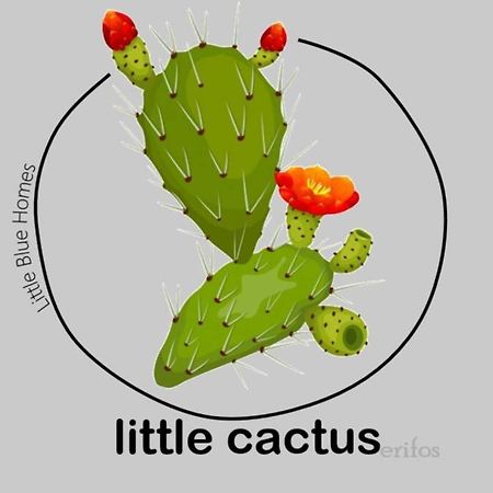 Little Cactus Villa Serifos Town Luaran gambar