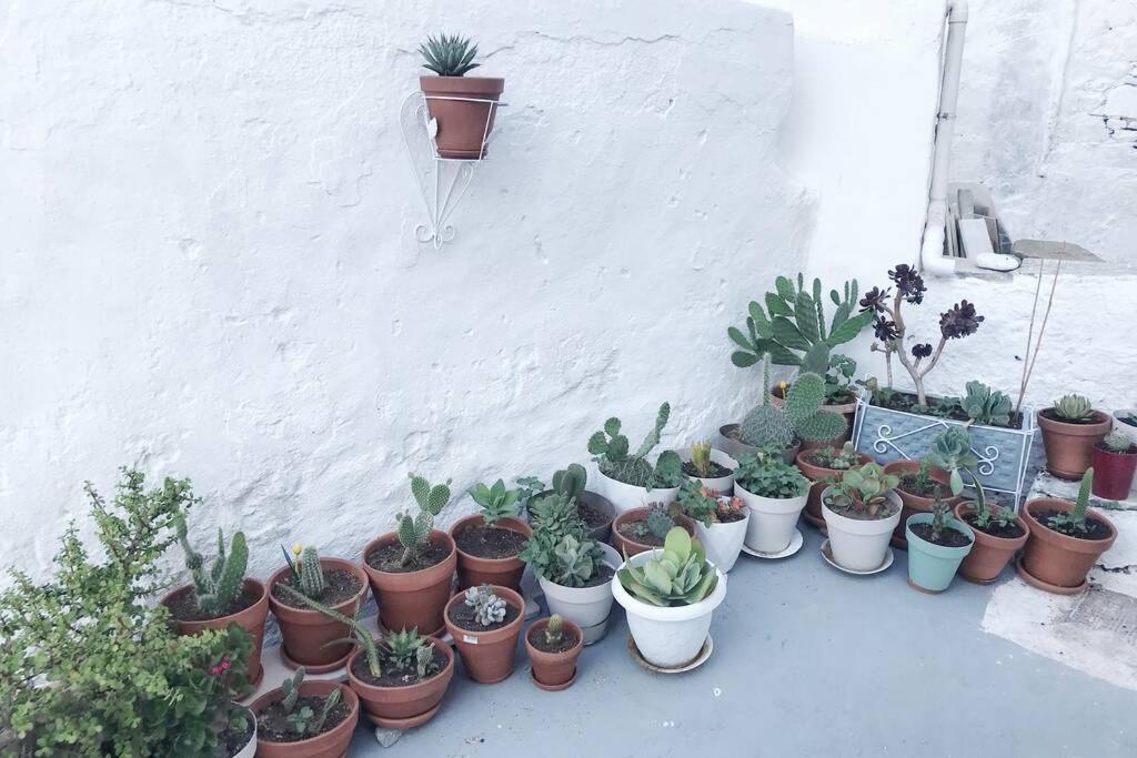 Little Cactus Villa Serifos Town Luaran gambar